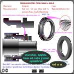 Mechanical Seal course